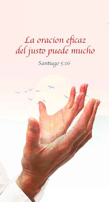 bannerOracion_377x700